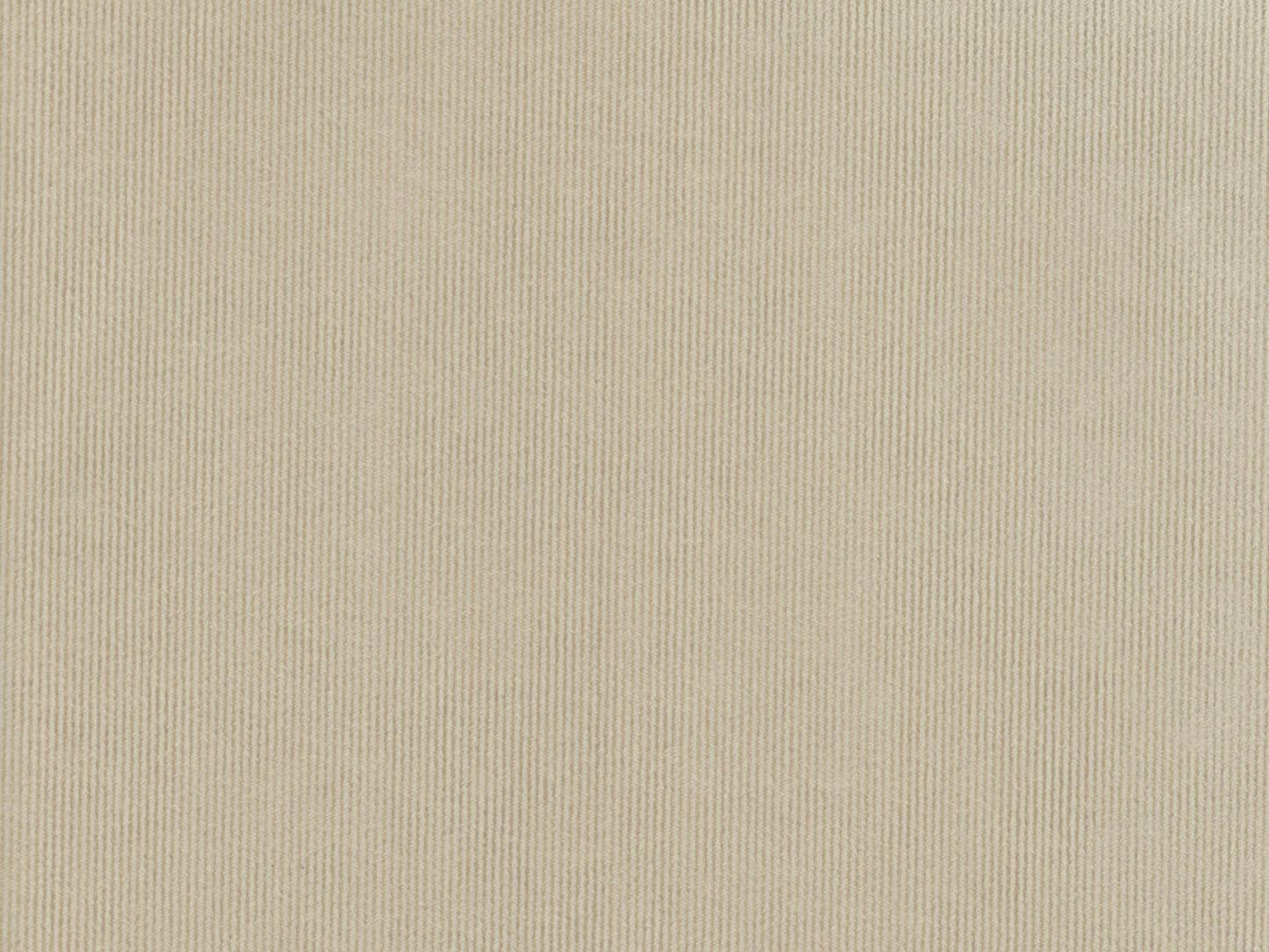 DOLCE 3479
