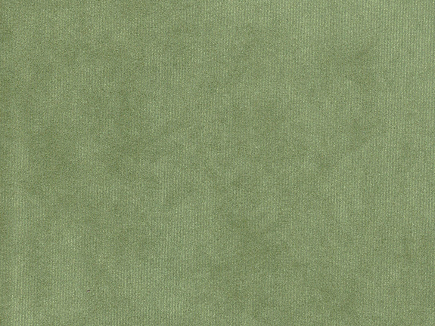 DOLCE 3487