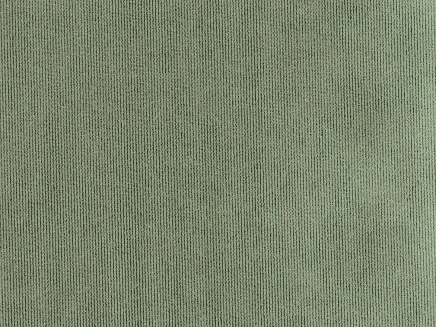 DOLCE 3488