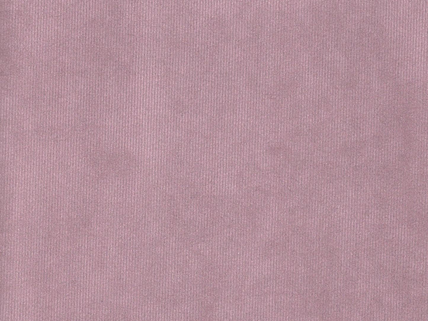 DOLCE 3490