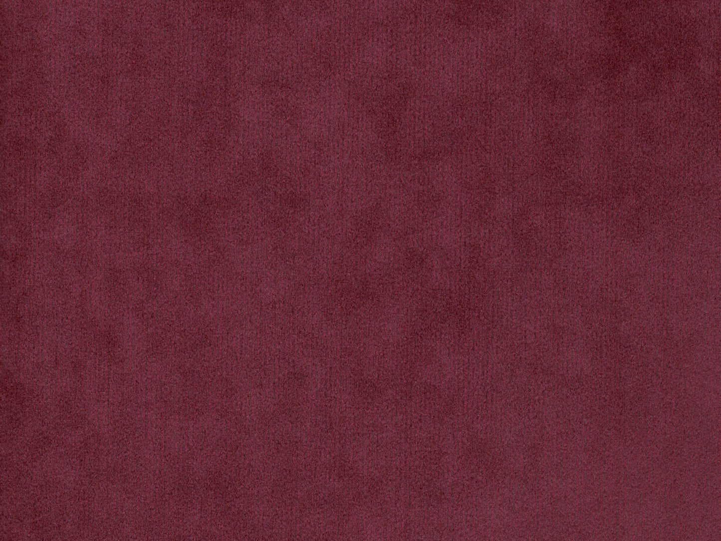 DOLCE 3491