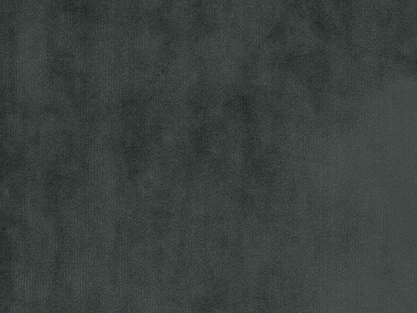 DOLCE 3500