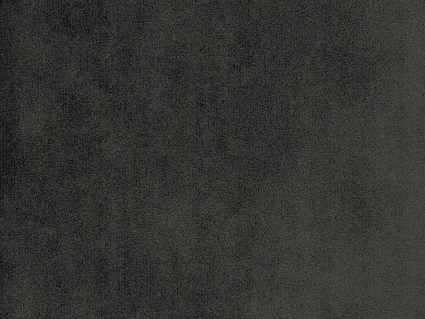 DOLCE 3501