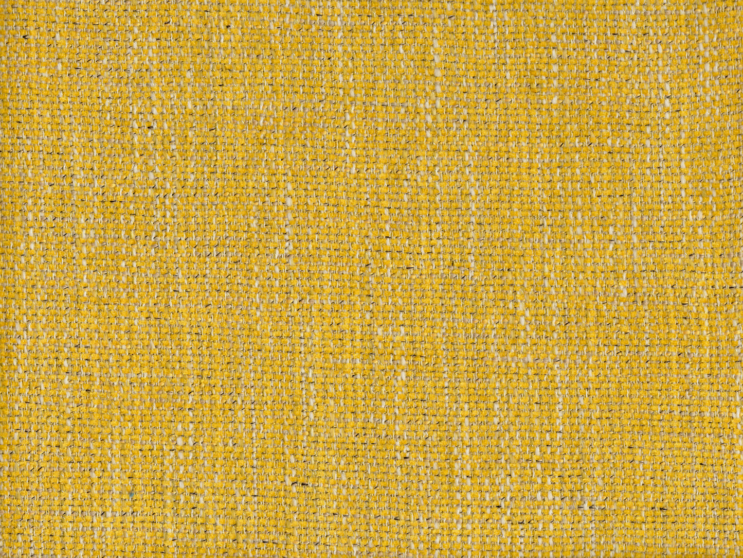 FERRARA 2444