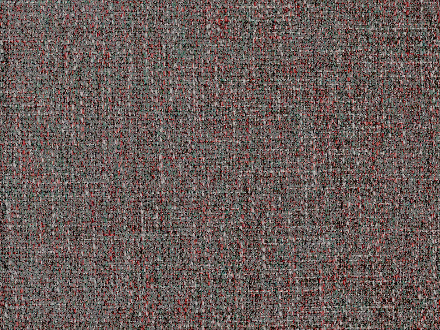 FERRARA 2448
