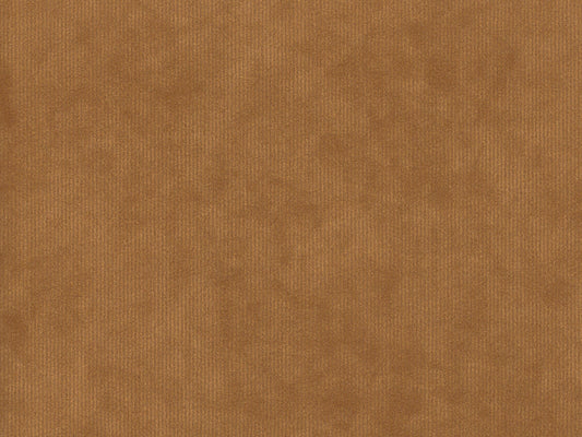 DOLCE 3481